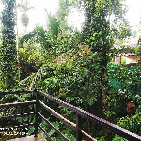 Eve'S Residency Villa Meppadi Exterior photo