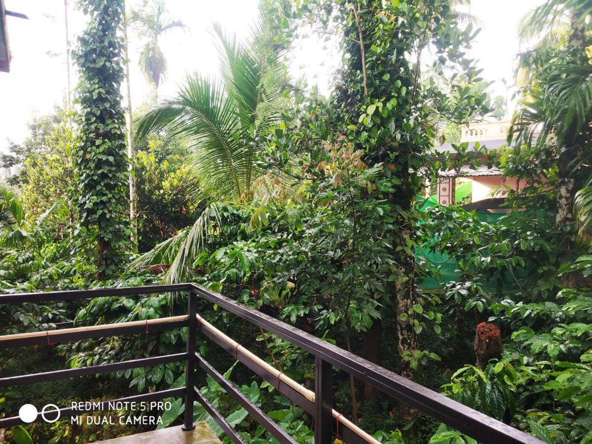 Holiday home Eve's Residency Meppadi